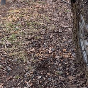 Meet your Posher, Nizam